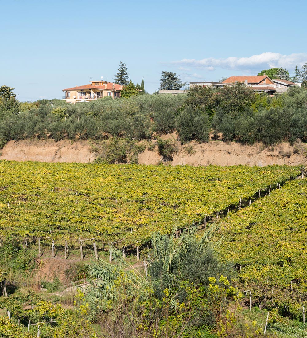 Lazio Wine Region